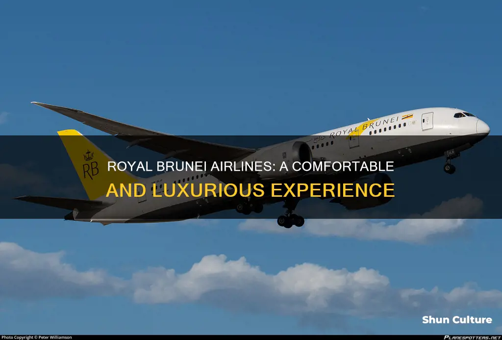 Royal Brunei Airlines: A Comfortable And Luxurious Experience | ShunCulture