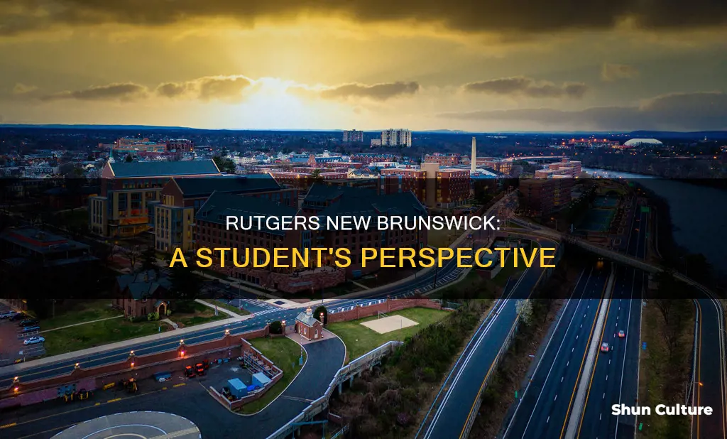 how is rutgers new brunswick