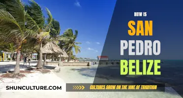 The Island Escape: Discovering San Pedro, Belize's Tropical Paradise