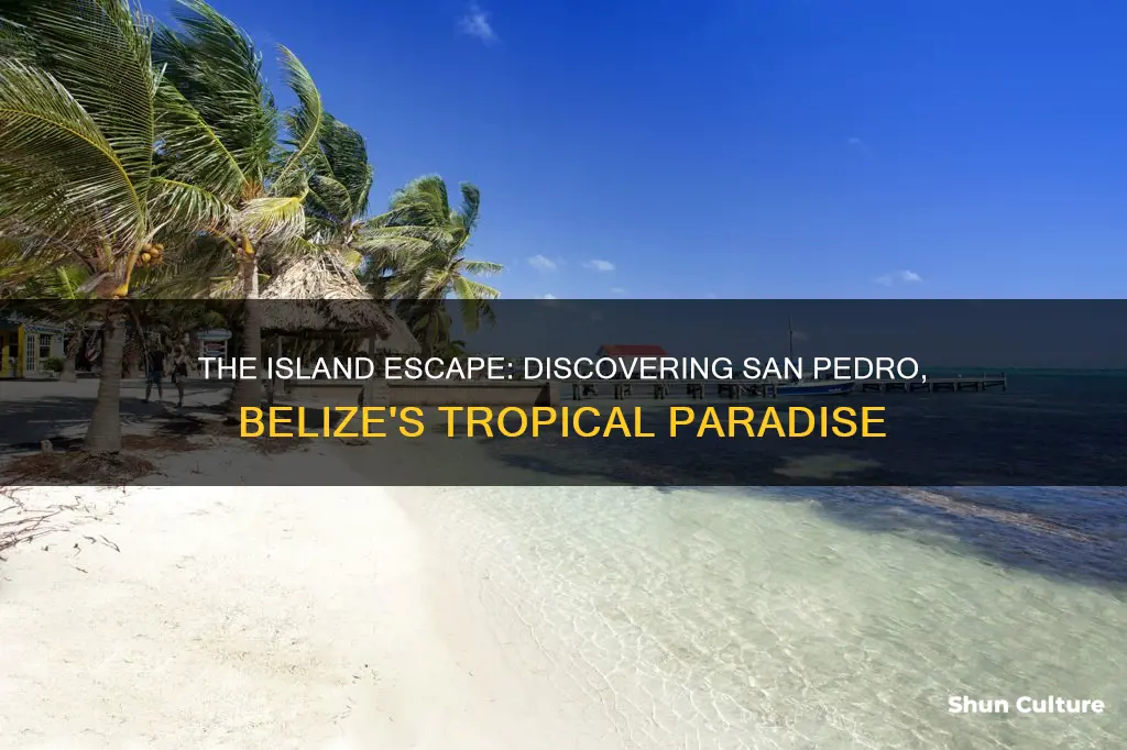 how is san pedro belize