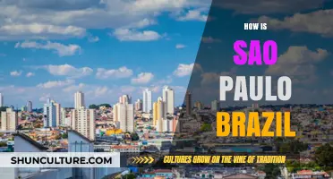 Exploring São Paulo: Brazil's Bustling Metropolis of Culture and Innovation