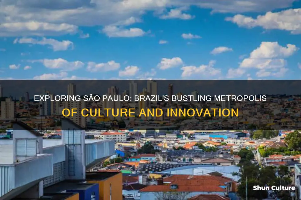 how is sao paulo brazil
