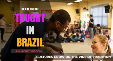 Exploring Brazil's Science Education: Methods, Challenges, and Innovations