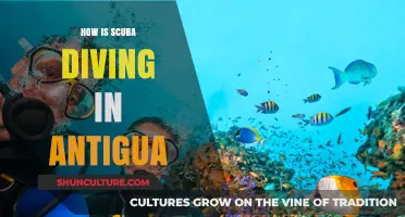 Exploring Antigua's Underwater Paradise: A Scuba Diver's Ultimate Guide