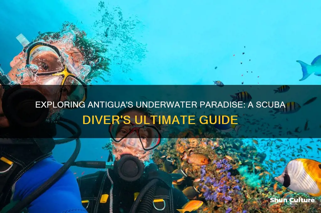 how is scuba diving in antigua