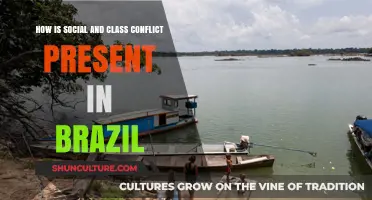 Brazil's Social Divide: Class Conflict and Inequality Explored