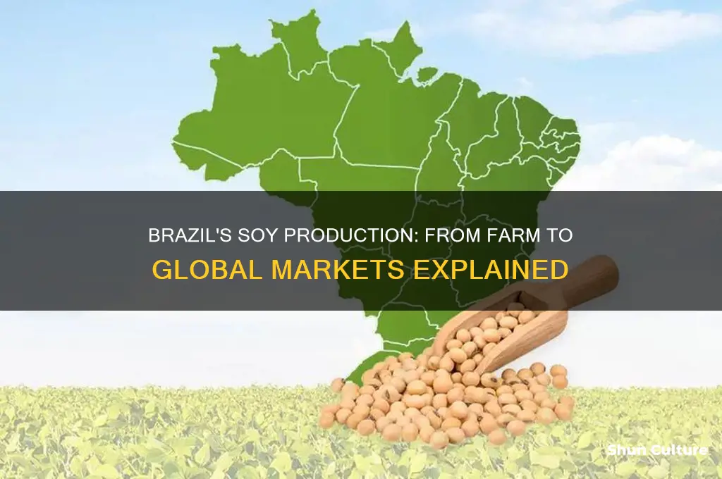 how is soy produced in brazil