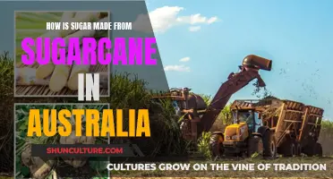 Sugarcane to Sugar: The Australian Process