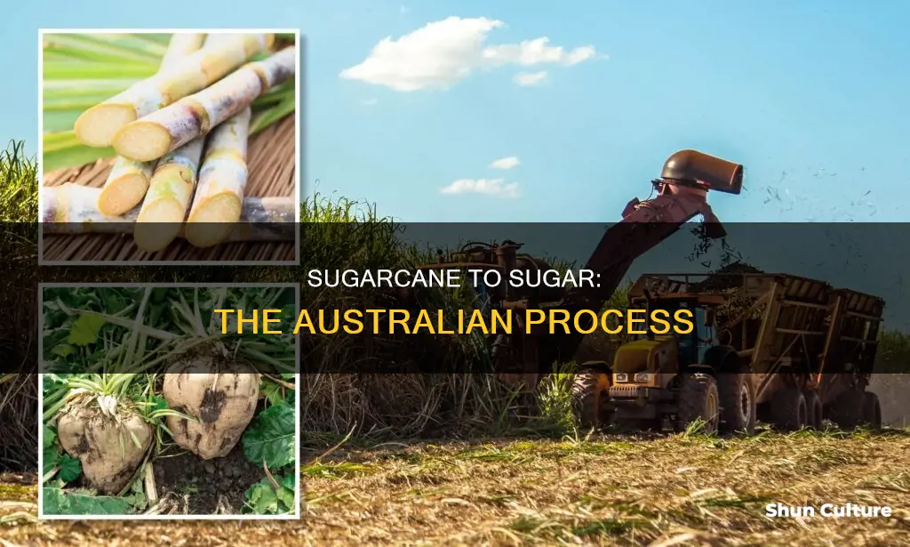 how is sugar made from sugarcane in australia