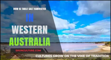 Salt Harvesting in Western Australia: A Table Essential