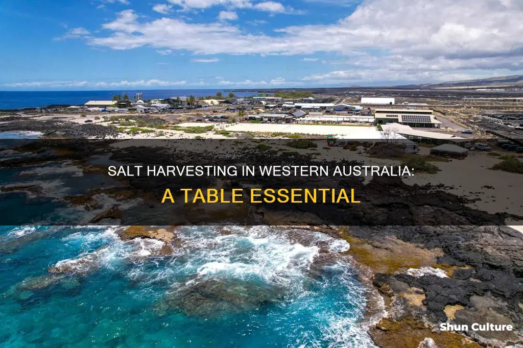 how is table salt harvested in western australia
