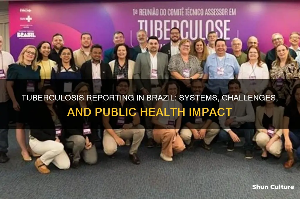 how is tb reported in brazil