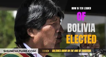 Bolivia's Electoral Process: Choosing Their Leader