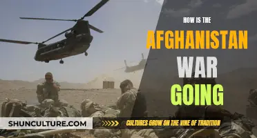 The Evolving Afghanistan War: Strategies, Challenges, and Unknown Outcomes