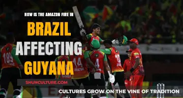 Brazil's Amazon Fires: Impacts on Guyana's Environment and Economy