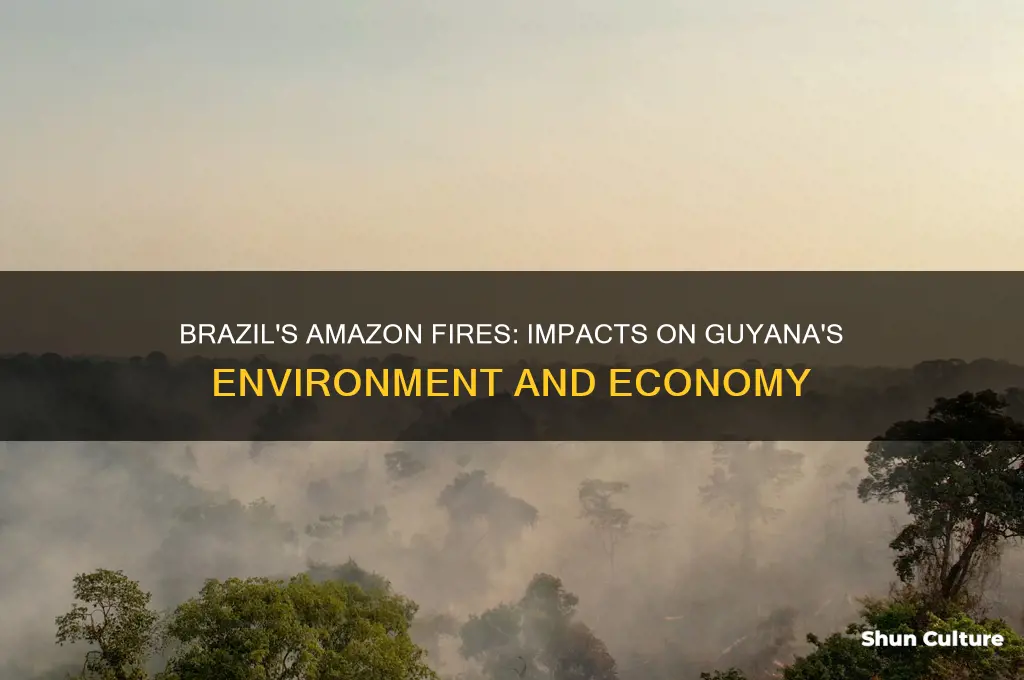 how is the amazon fire in brazil affecting guyana