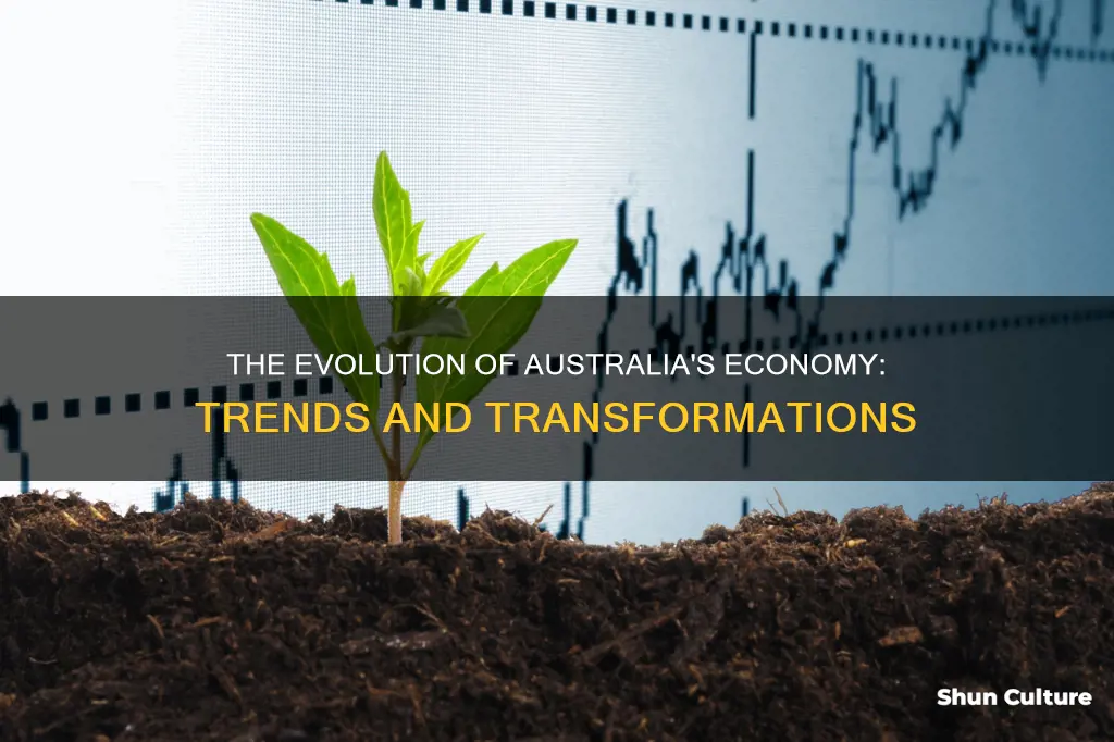 how is the australian economy changing
