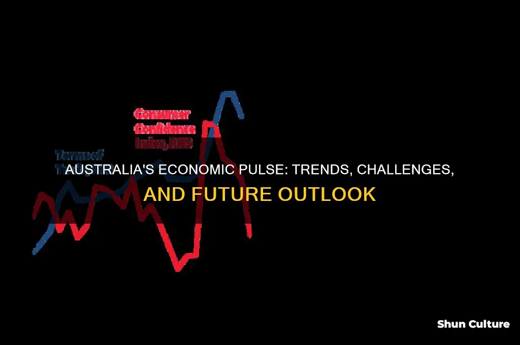 how is the australian economy going