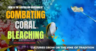 Australia's Fight Against Coral Bleaching: Strategies and Initiatives
