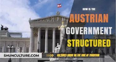 Understanding Austria's Political Structure: A Comprehensive Guide to the Government