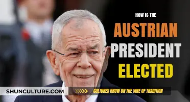 The Unique Process: Electing Austria's President