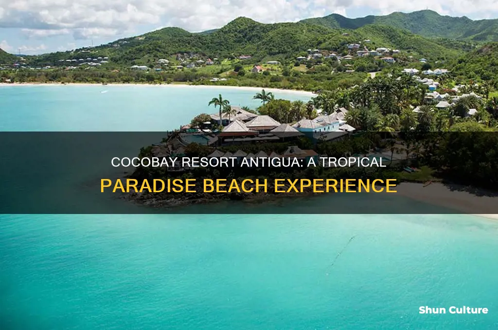 how is the beach at cocobay resort antigua