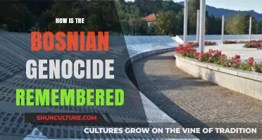 Remembering Srebrenica: Bosnia's Genocide Legacy and Collective Memory