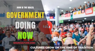 Brazil's Government Performance: Current Challenges and Recent Developments