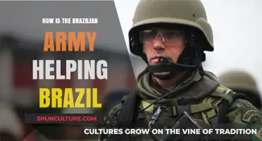 Brazilian Army's Role in Strengthening Brazil's Security and Development