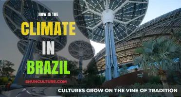 Exploring Brazil's Diverse Climate: From Amazon Rainforests to Tropical Coasts