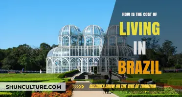 Exploring Brazil's Cost of Living: Expenses, Affordability, and Budget Tips