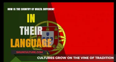 Brazil's Unique Language: Exploring Portuguese Variations and Cultural Influences