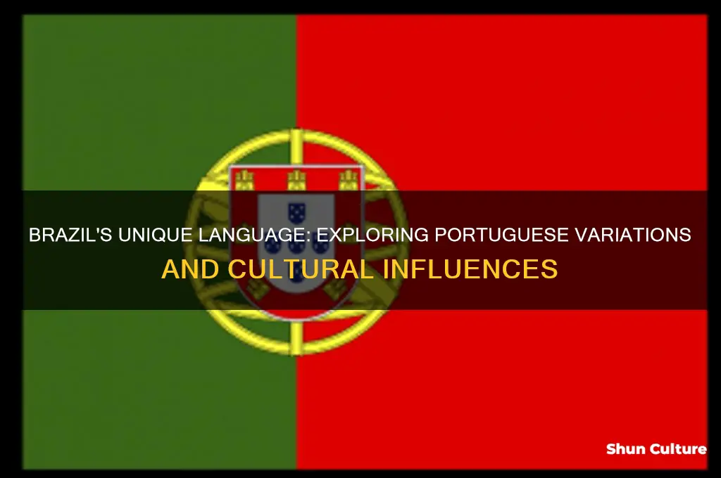 how is the country of brazil different in their language