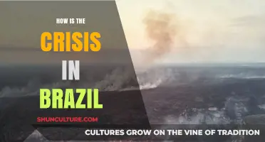 Brazil's Deepening Crisis: Causes, Impacts, and Paths to Recovery