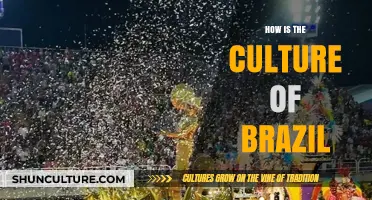 Exploring Brazil's Vibrant Culture: Traditions, Music, and Carnival Spirit