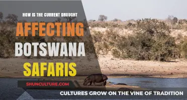 Drought's Impact: Botswana Safaris Face Challenges Amid Water Scarcity