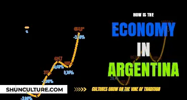 Navigating Argentina's Economic Landscape: Challenges and Opportunities