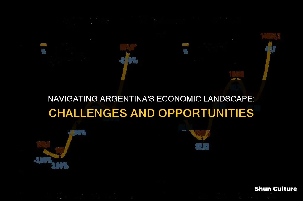 how is the economy in argentina