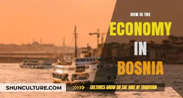 Bosnia's Economic Landscape: Challenges, Growth, and Future Prospects