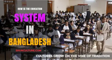 Exploring Bangladesh's Education System: Challenges, Reforms, and Future Prospects