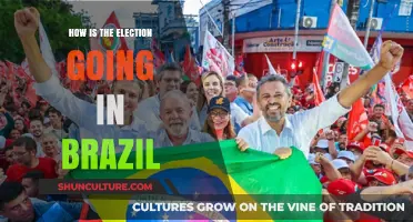 Brazil's Election 2022: Key Updates, Candidates, and Political Shifts