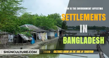 Environmental Impacts on Bangladesh's Settlements: Challenges and Adaptations