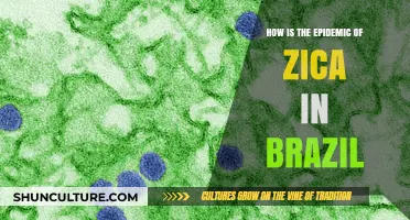 Brazil's Zika Epidemic: Causes, Impact, and Ongoing Challenges