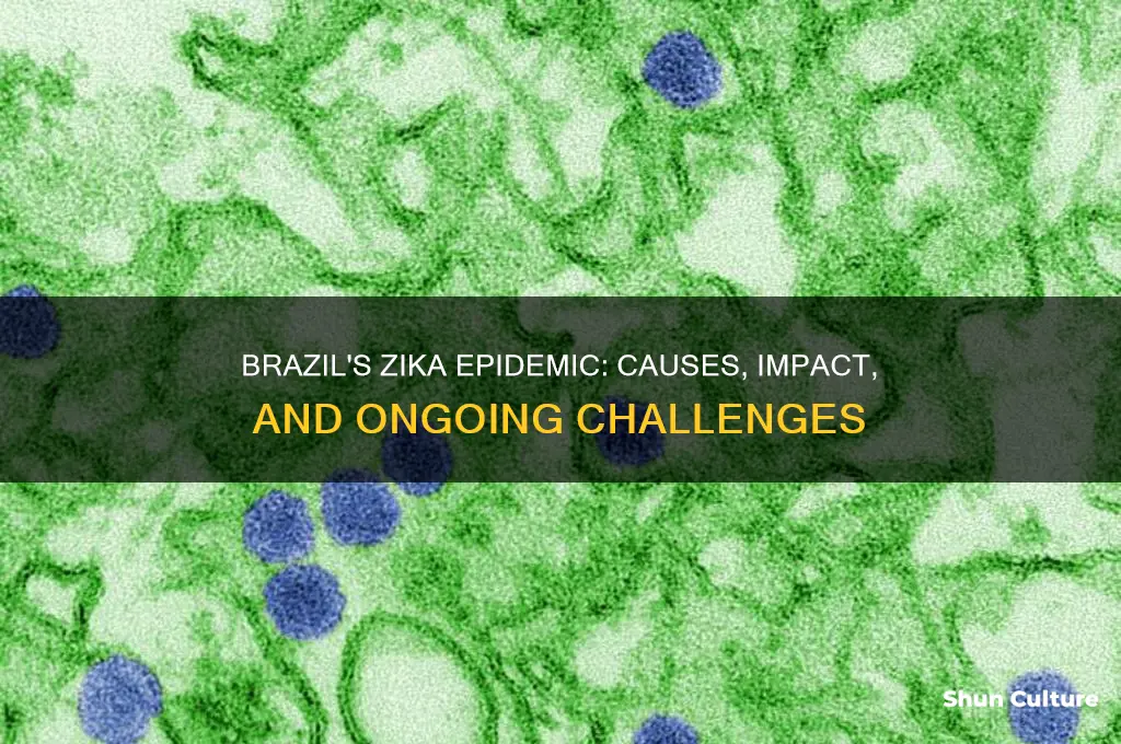 how is the epidemic of zica in brazil
