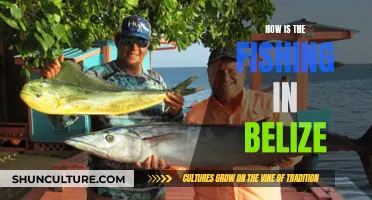 Belize's Aquatic Paradise: Fishing Adventures and More