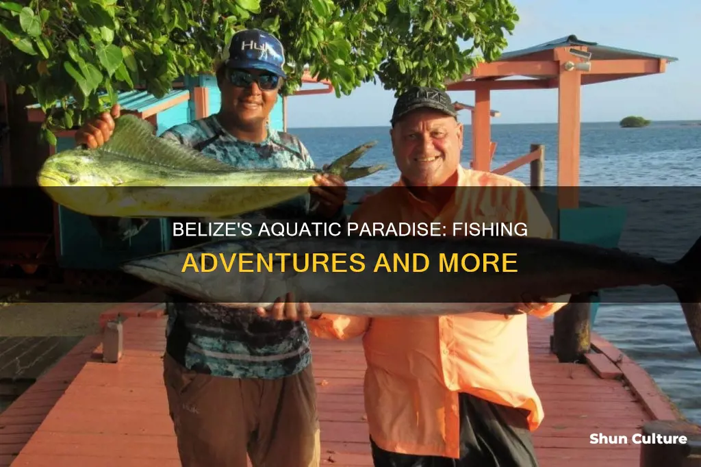 how is the fishing in belize