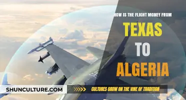 Texas to Algeria Flight Costs: Budgeting Your International Travel Expenses