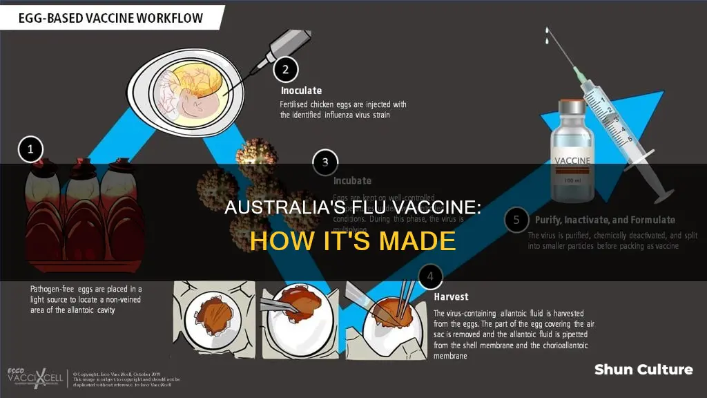 how is the flu vaccine made australia