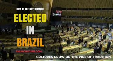 Brazil's Electoral Process: Understanding How the Government is Elected
