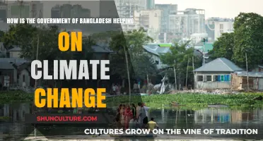 Bangladesh's Government Initiatives: Tackling Climate Change Challenges and Solutions